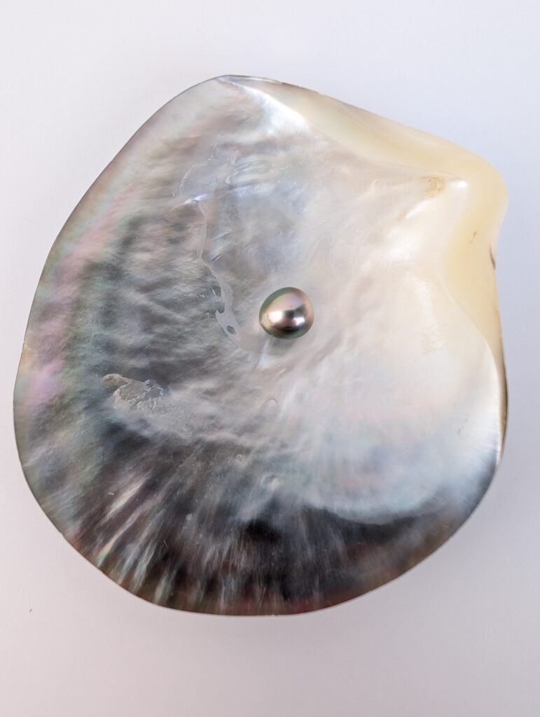 N°5 - Perle goutte A