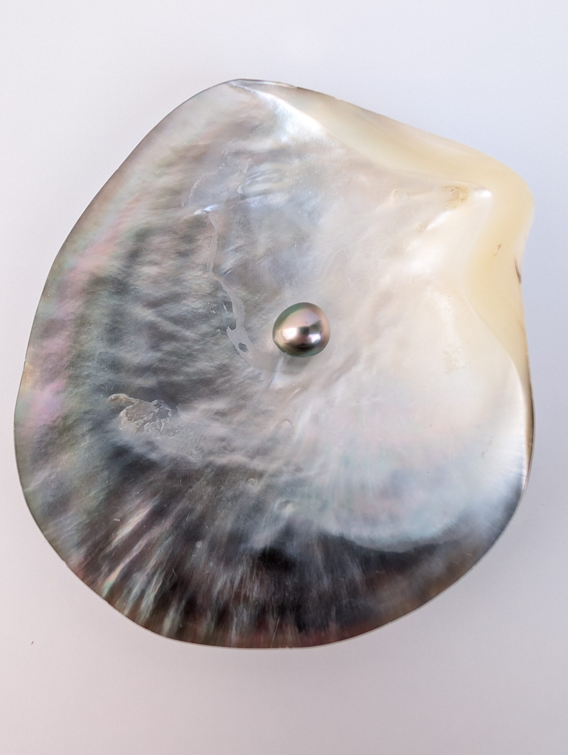 N°5 - Perle goutte A