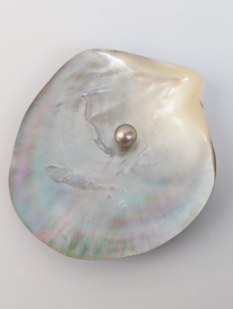 N°11 - Perle ronde B