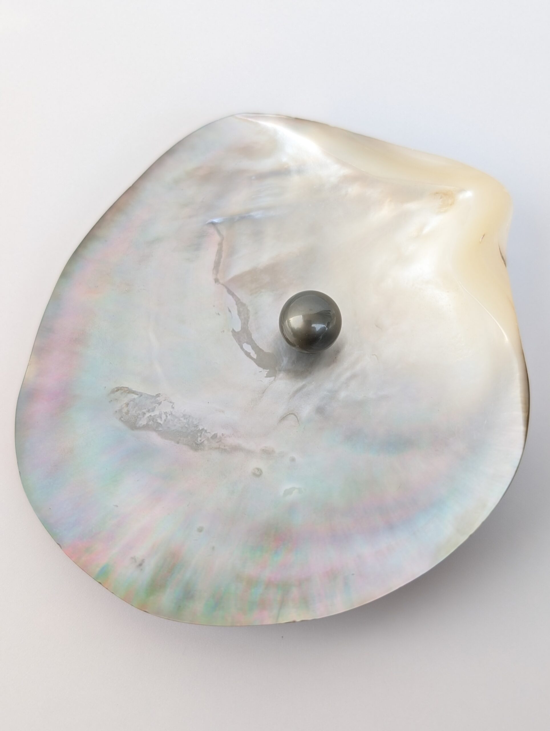 N°18 - Perle ronde C