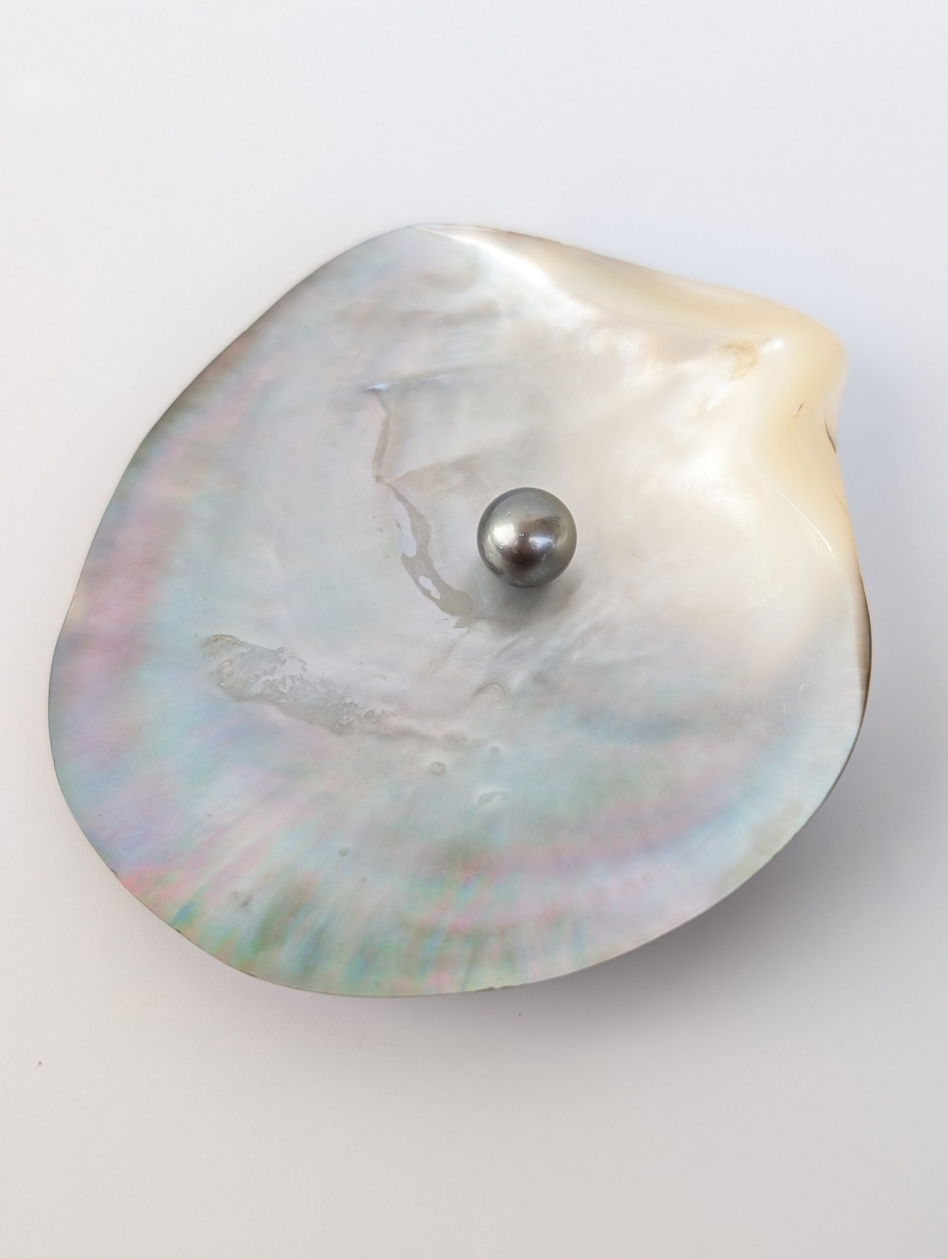 N°17 - Perle ronde C